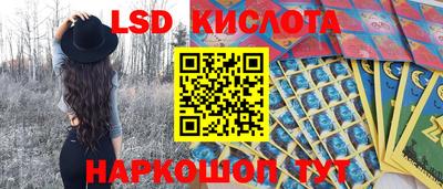 дмт Нальчик