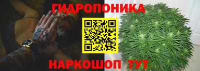 прущие грибы Нарткала