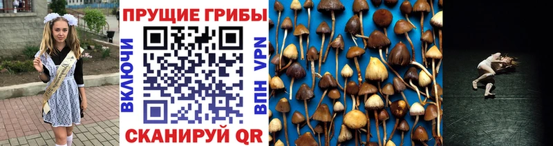 Галлюциногенные грибы MAGIC MUSHROOMS Благодарный
