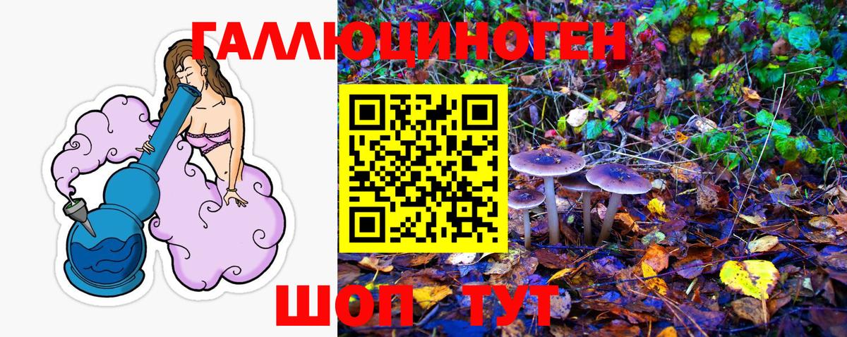 Галлюциногенные грибы Psilocybine cubensis  Вход с VPN  где продают наркотики  Благодарный  Галлюциногенные грибы прущие грибы 
